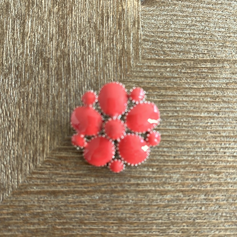 Broach   Very pretty